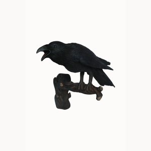 Raven (Open Beak)