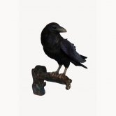 Raven (Head Up) Wall Decor