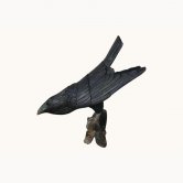 Raven (Head Down) Wall Decor