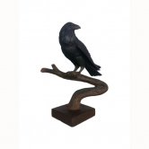 Raven (Looking Back)