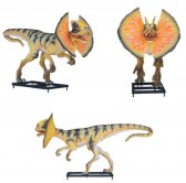 Dilophosaurus Venenifer (with Neck Frill) Statue