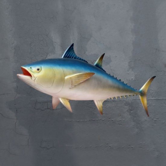 Bluefin Tuna - Click Image to Close