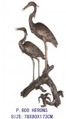 Herons on Branch