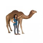 Camel Statue (Life Size) Camel Statue (Life Size)