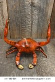 Bronze Crab