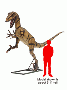 Adult Velociraptor