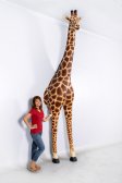 Giraffe Statue - Wall Mount