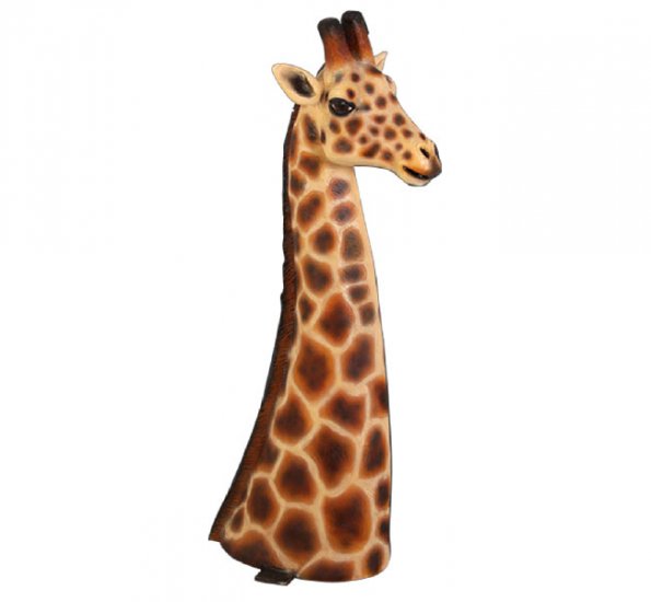 Giraffe Head - Click Image to Close
