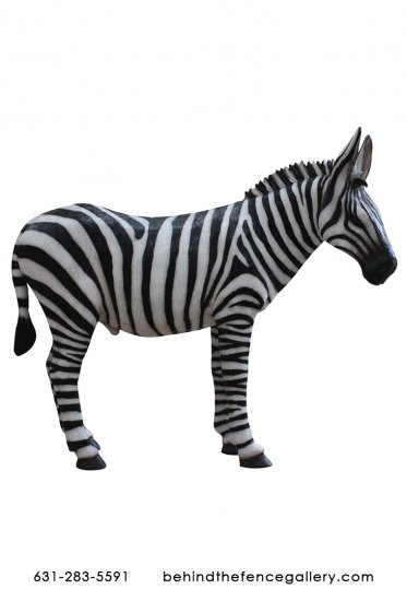 Bronze Zebra - Click Image to Close