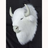 Albino Bison Head Albino Bison Head