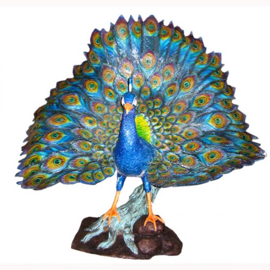 Bronze Peacock - Click Image to Close
