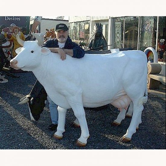 Cow - All White, Head Up (with or without Horns) - Click Image to Close