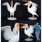 Pelican