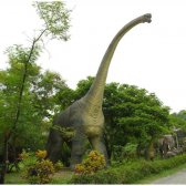 Adult Brachiosaurus