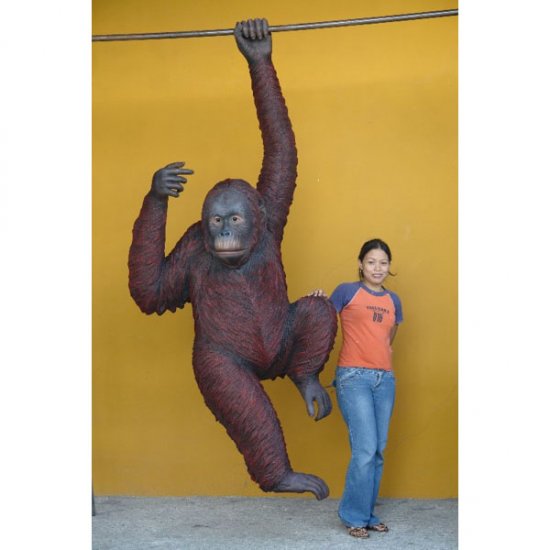 Life Size Safari Party Prop Fiberglass Orangutan Hanging - Click Image to Close