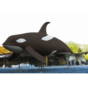 Giant Orca Whale Statues.Price Upon Request