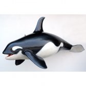 Orca Whale