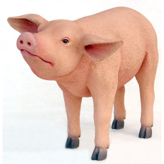 Pig Standing - Click Image to Close