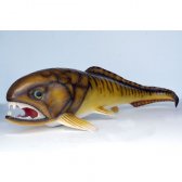 Dunkleosteus