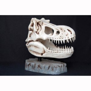 T-Rex Head - Skeleton