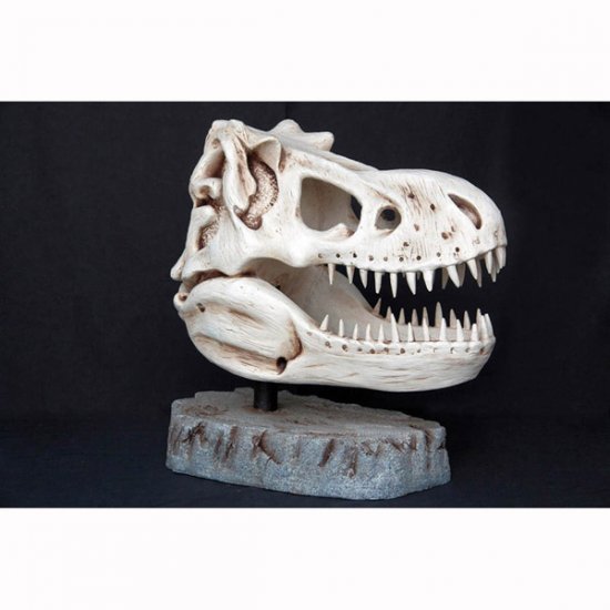 T-Rex Head - Skeleton - Click Image to Close