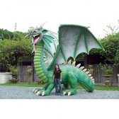 Dragon 13 Ft.