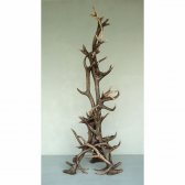 Antler Hat Rack