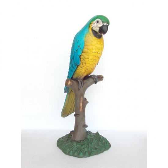 Parrot on Tree - Click Image to Close
