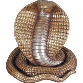 King Cobra King Cobra