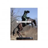 Bronze Bronco Buster