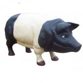 Cast Iron Pig Cast Iron Pig