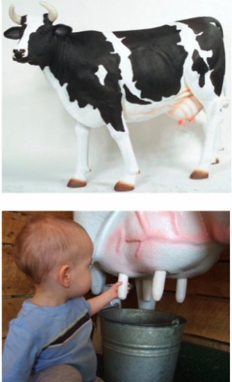 Milking Dairy Cow (with or without Horns) - Click Image to Close