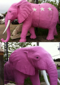 Elephant Pink