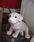 Porcelain Puppy