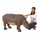 Rhinoceros 30"