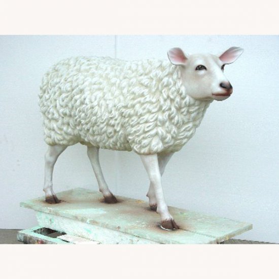 Realistic Sheep - Click Image to Close