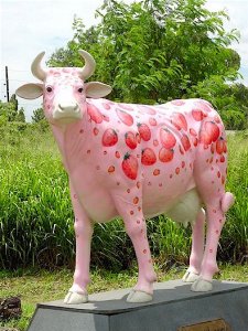 Strawberries and Cream Cow (with or without Horns)