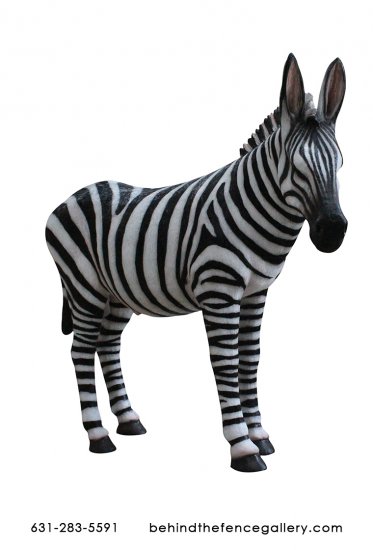 Bronze Zebra - Click Image to Close
