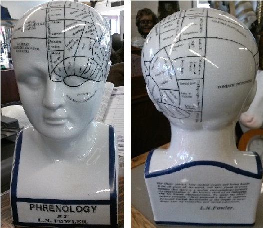 Phrenology Head Statue (small) - Click Image to Close