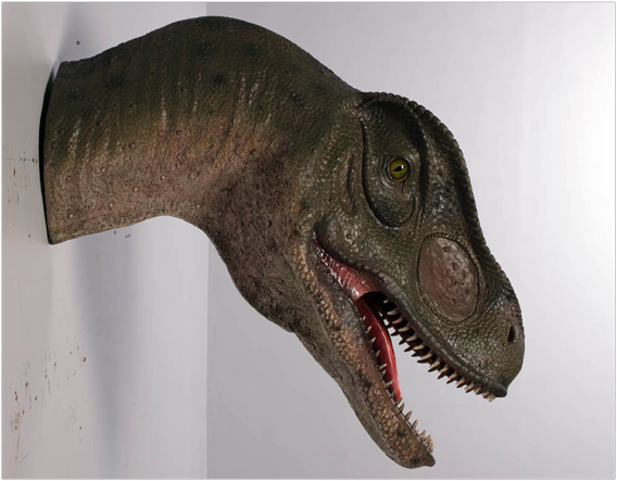 Allosaurus Head - Mouth Open / Fiberglass