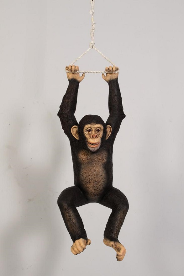 keel hanging monkey