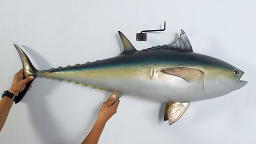 Bluefin Tuna - Click Image to Close