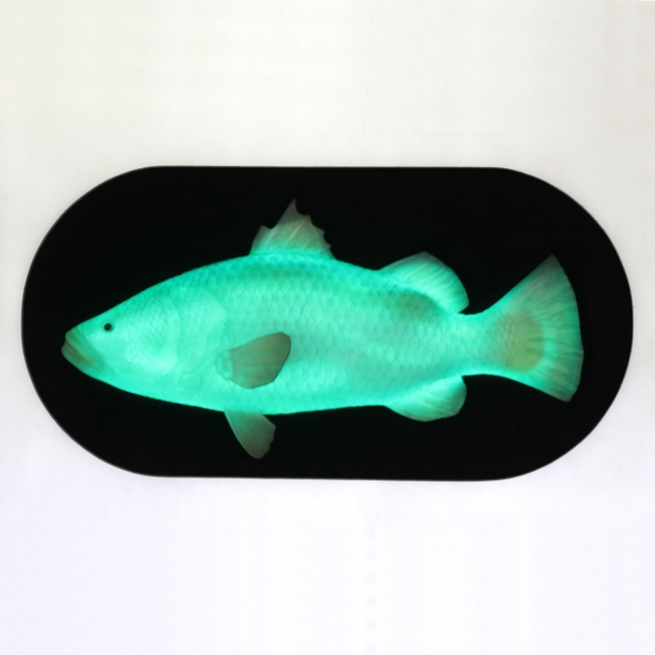 Wall Decor Fish with LED