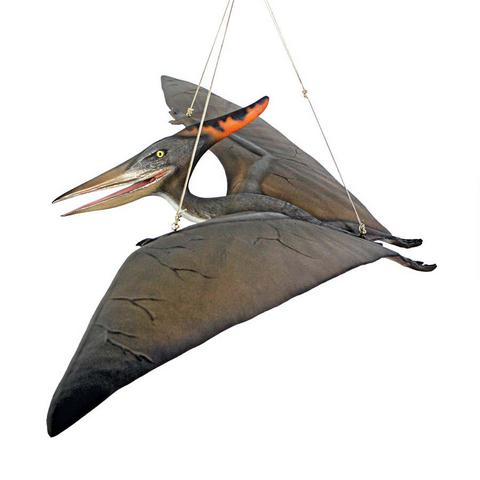 Baby Pteranodon - Click Image to Close