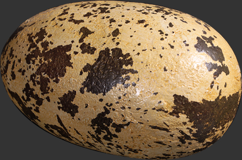 Theropod Egg 9" - Click Image to Close