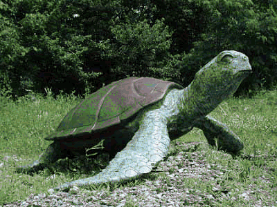 Bronze Sea Turtle - Click Image to Close
